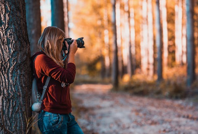Selling Art on Shutterstock: A Beginner’s Guide to Passive Income